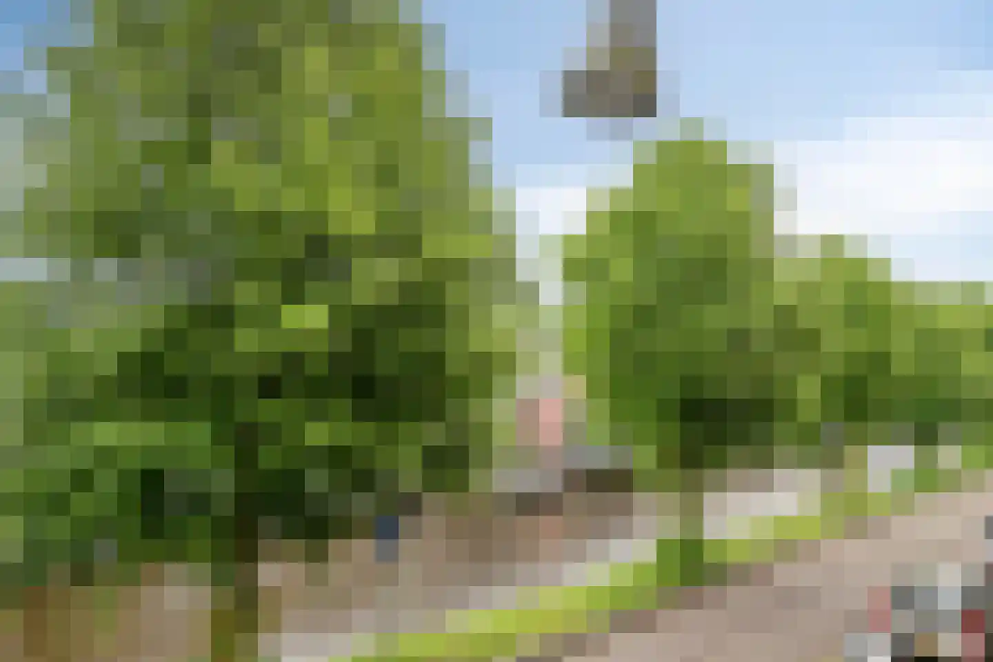 Huizenkade 44 Amersfoort thumbnail 10