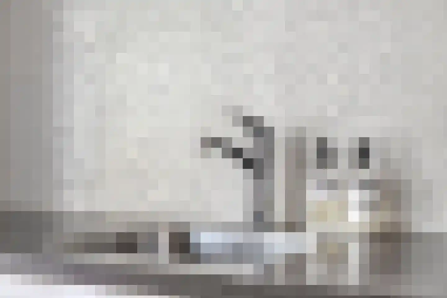 Huizenkade 44 Amersfoort thumbnail 24