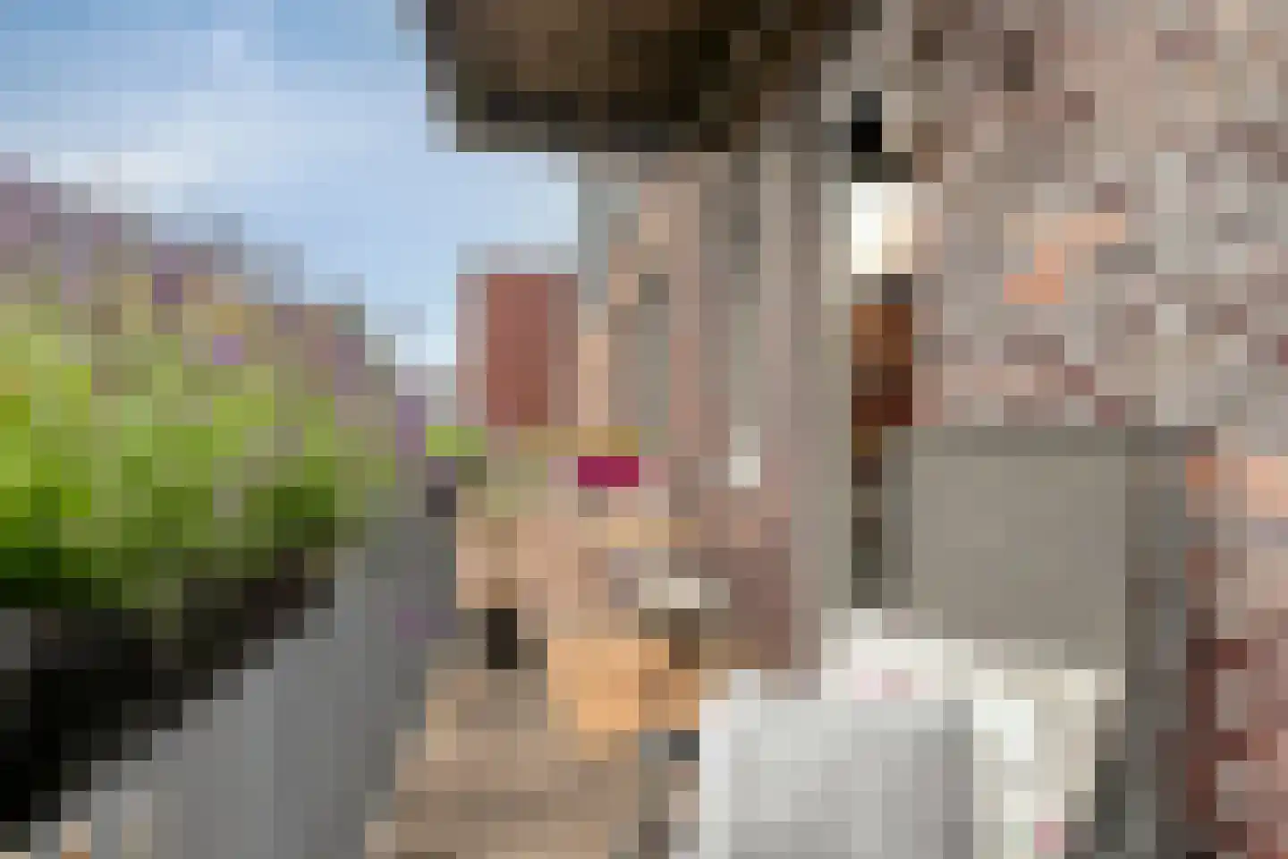 Huizenkade 44 Amersfoort thumbnail 25