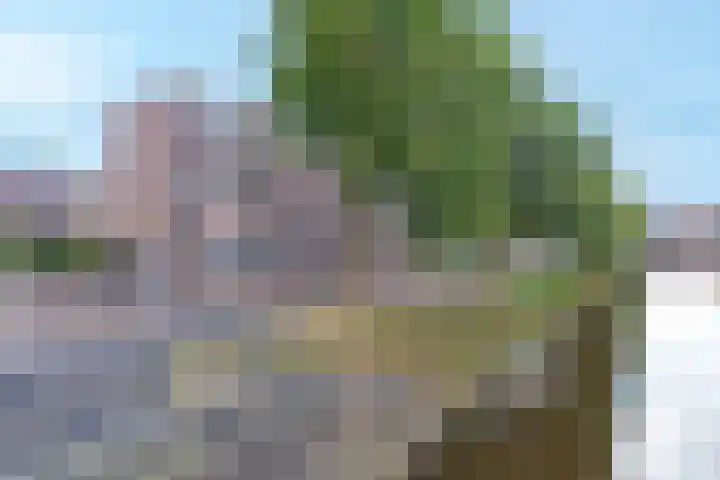 Huizenkade 74 Amersfoort thumbnail 8