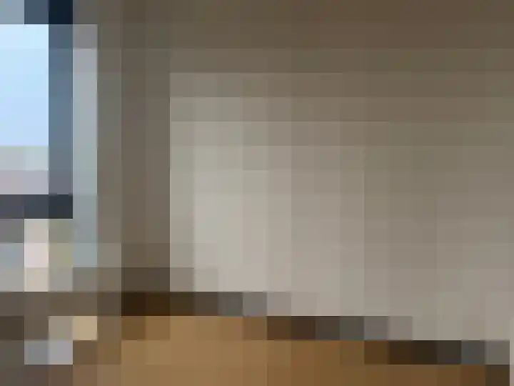 Huizermaatweg 250 Huizen thumbnail 7