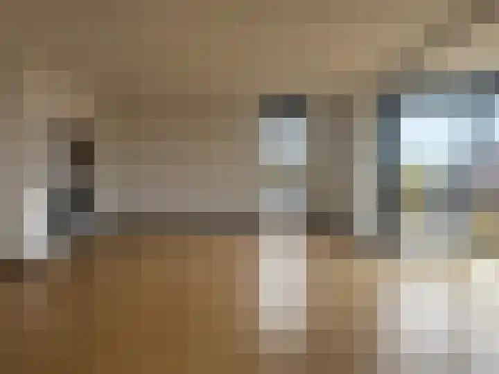 Huizermaatweg 250 Huizen thumbnail 8