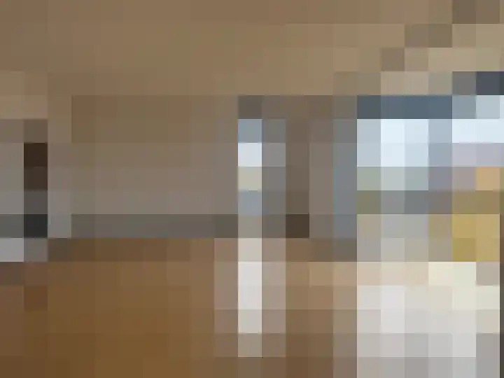 Huizermaatweg 250 Huizen thumbnail 9