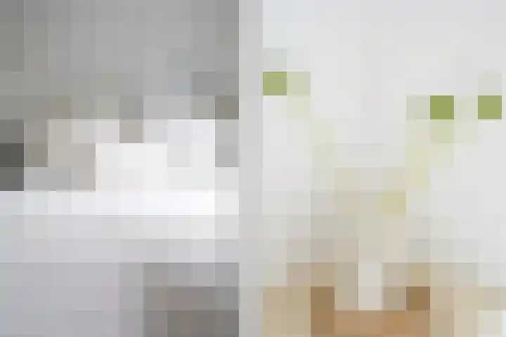 Huizermaatweg 300 Huizen thumbnail 12