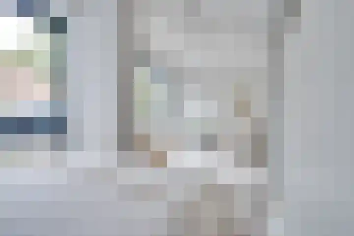 Huizermaatweg 300 Huizen thumbnail 13