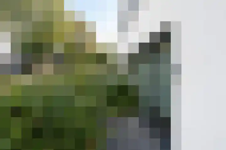 Huizermaatweg 300 Huizen thumbnail 22