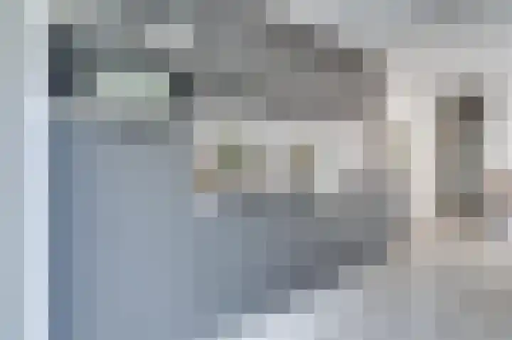 Huizermaatweg 300 Huizen thumbnail 4