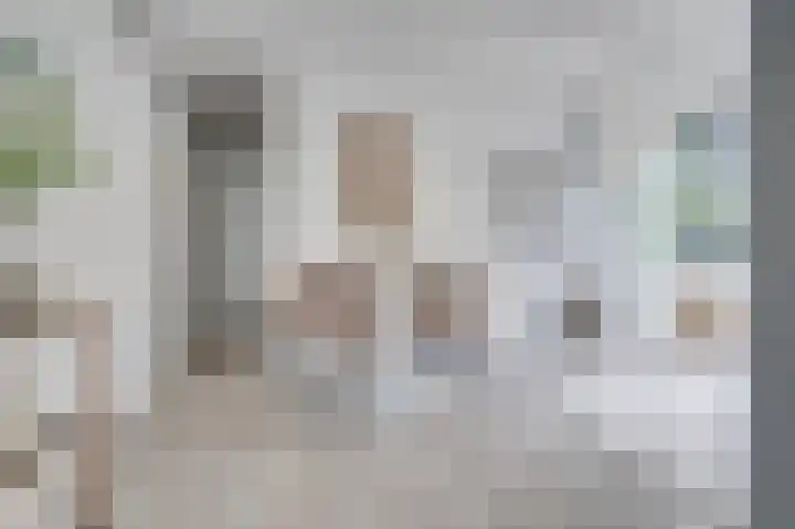 Huizermaatweg 300 Huizen thumbnail 8