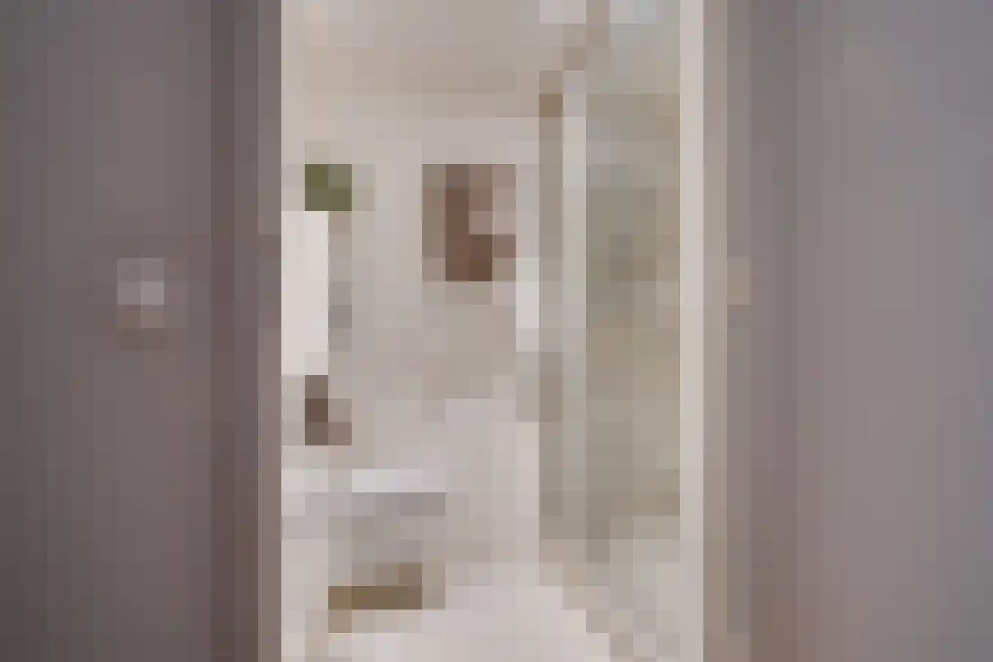 Huizermaatweg 302 e Huizen thumbnail 15