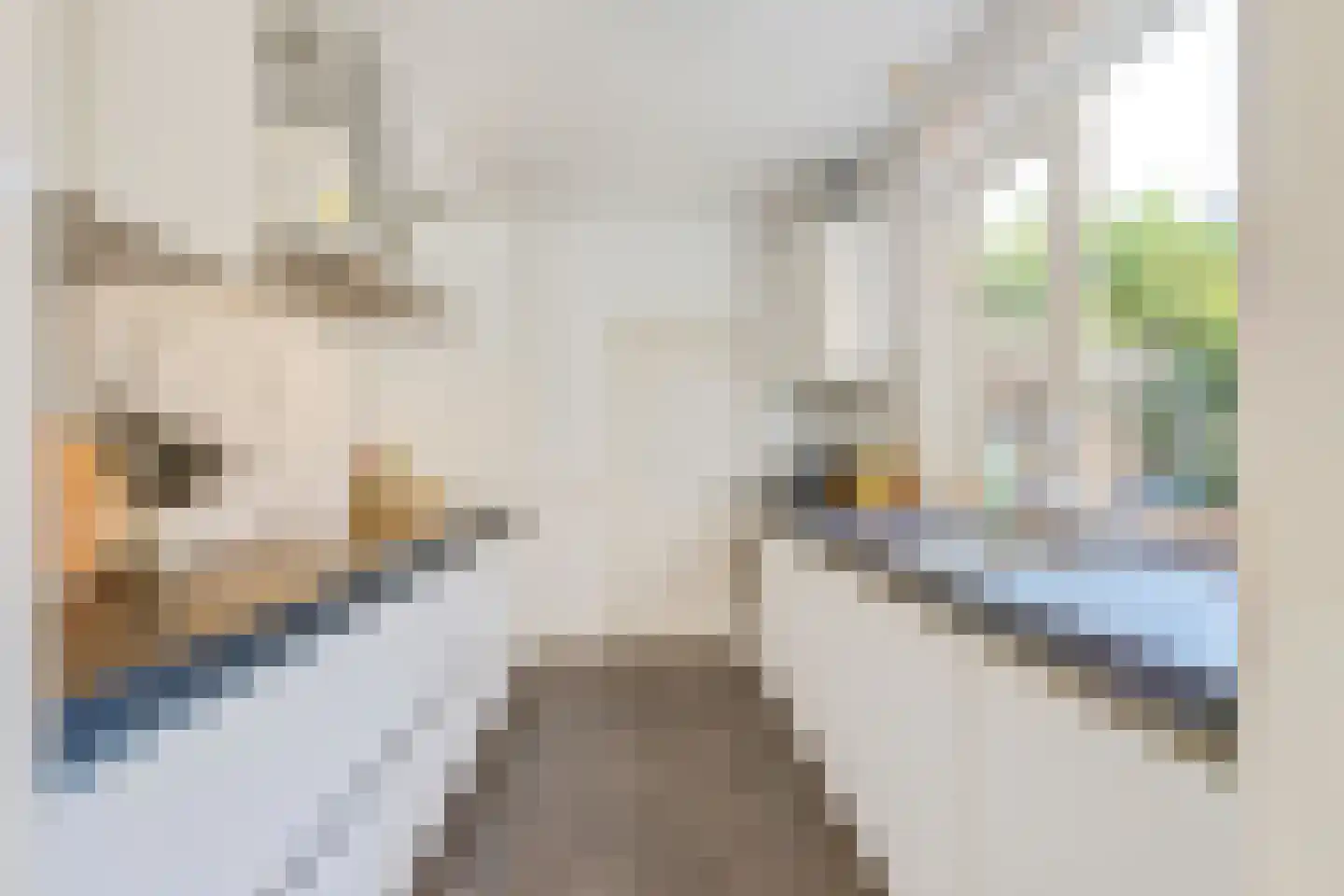 Huizerpoortstraat 30 Naarden thumbnail 11