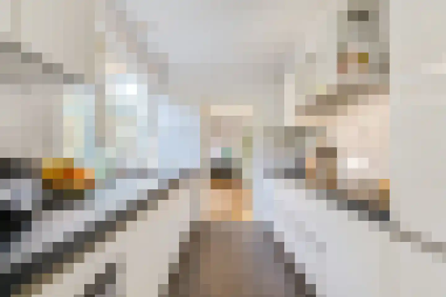 Huizerpoortstraat 30 Naarden thumbnail 12