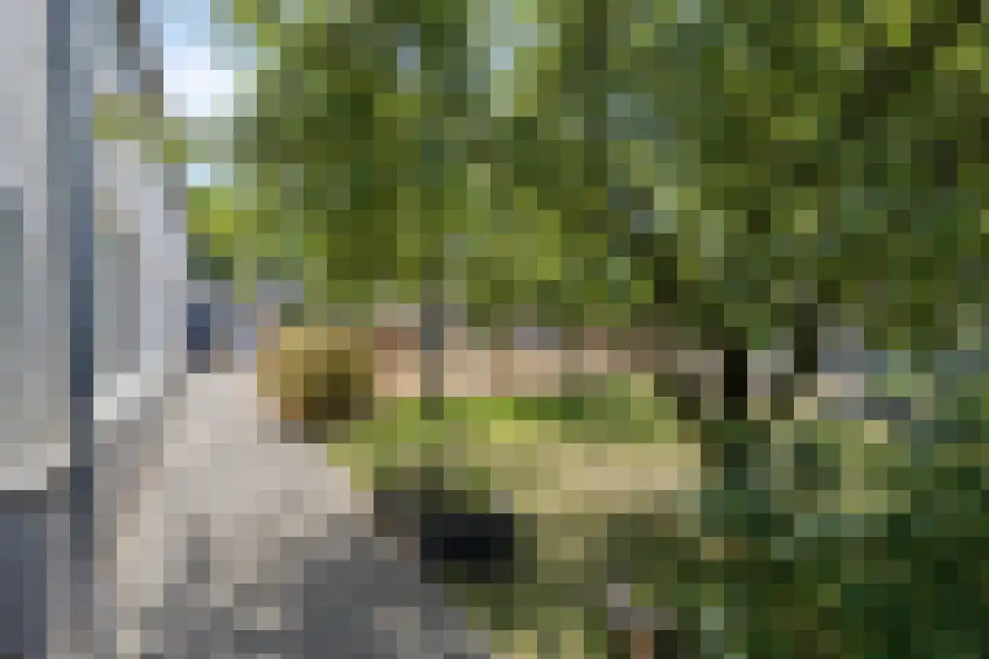Huizersdijk 16 Zevenbergen thumbnail 10