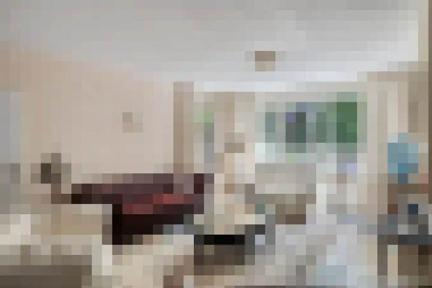 Huizersdijk 16 Zevenbergen thumbnail 14
