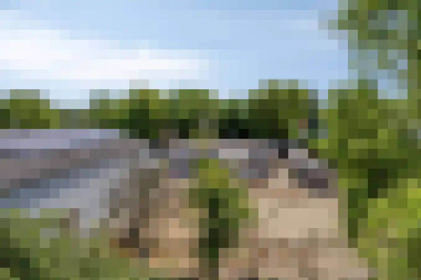 Huizersdijk 16 Zevenbergen thumbnail 43