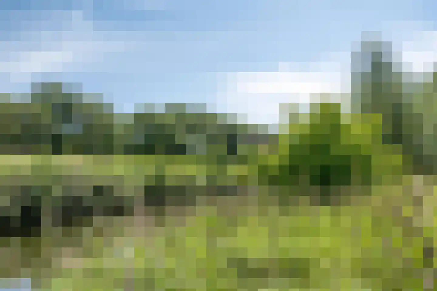Huizersdijk 16 Zevenbergen thumbnail 44