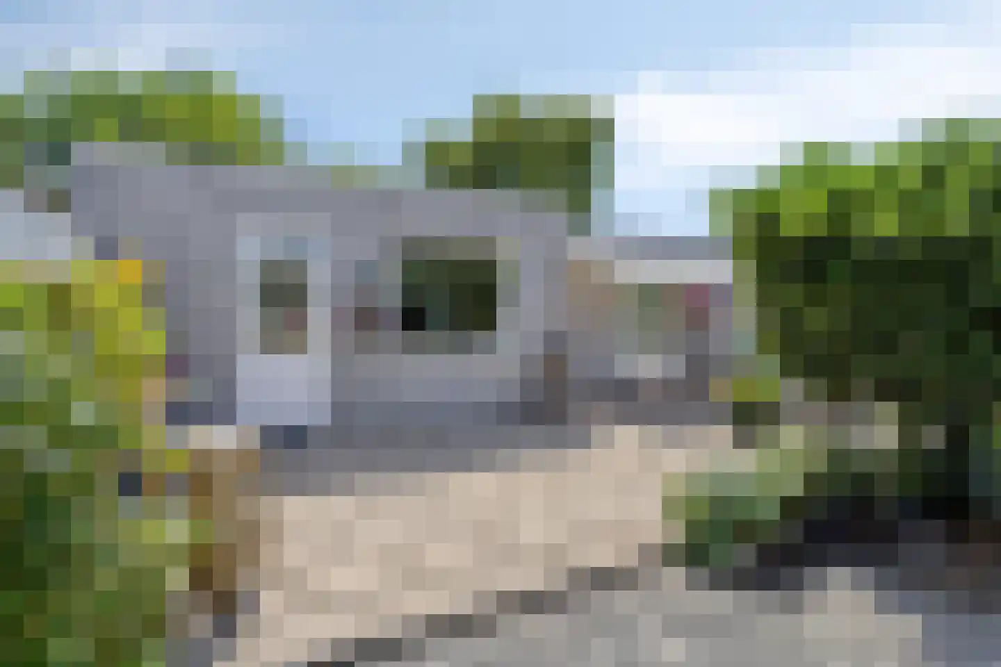 Huizersdijk 16 Zevenbergen thumbnail 7