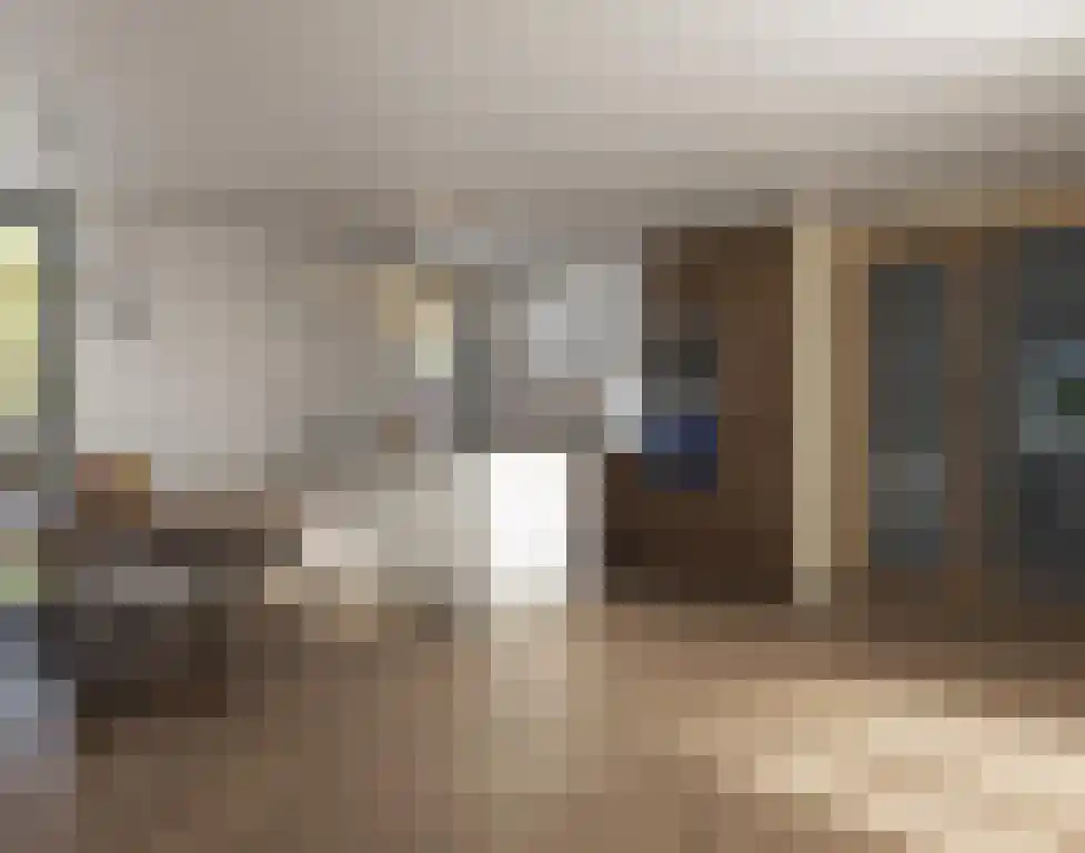 Huizersdijk 21 Zevenbergen thumbnail 6