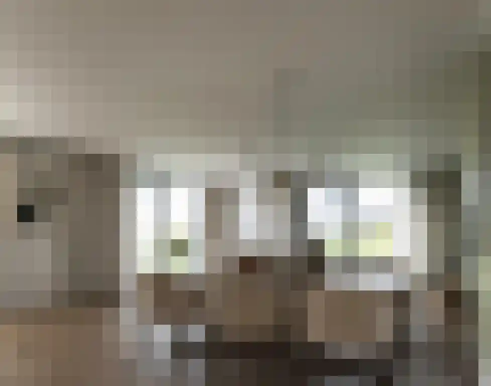 Huizersdijk 21 Zevenbergen thumbnail 7