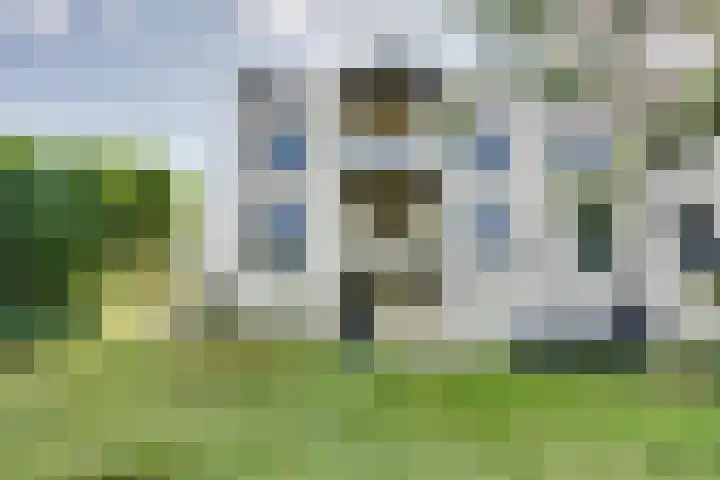 Huizersdijk 28 c Zevenbergen thumbnail 38
