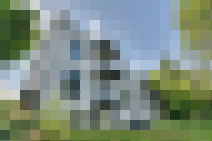 Huizersdijk 28 c Zevenbergen thumbnail 39