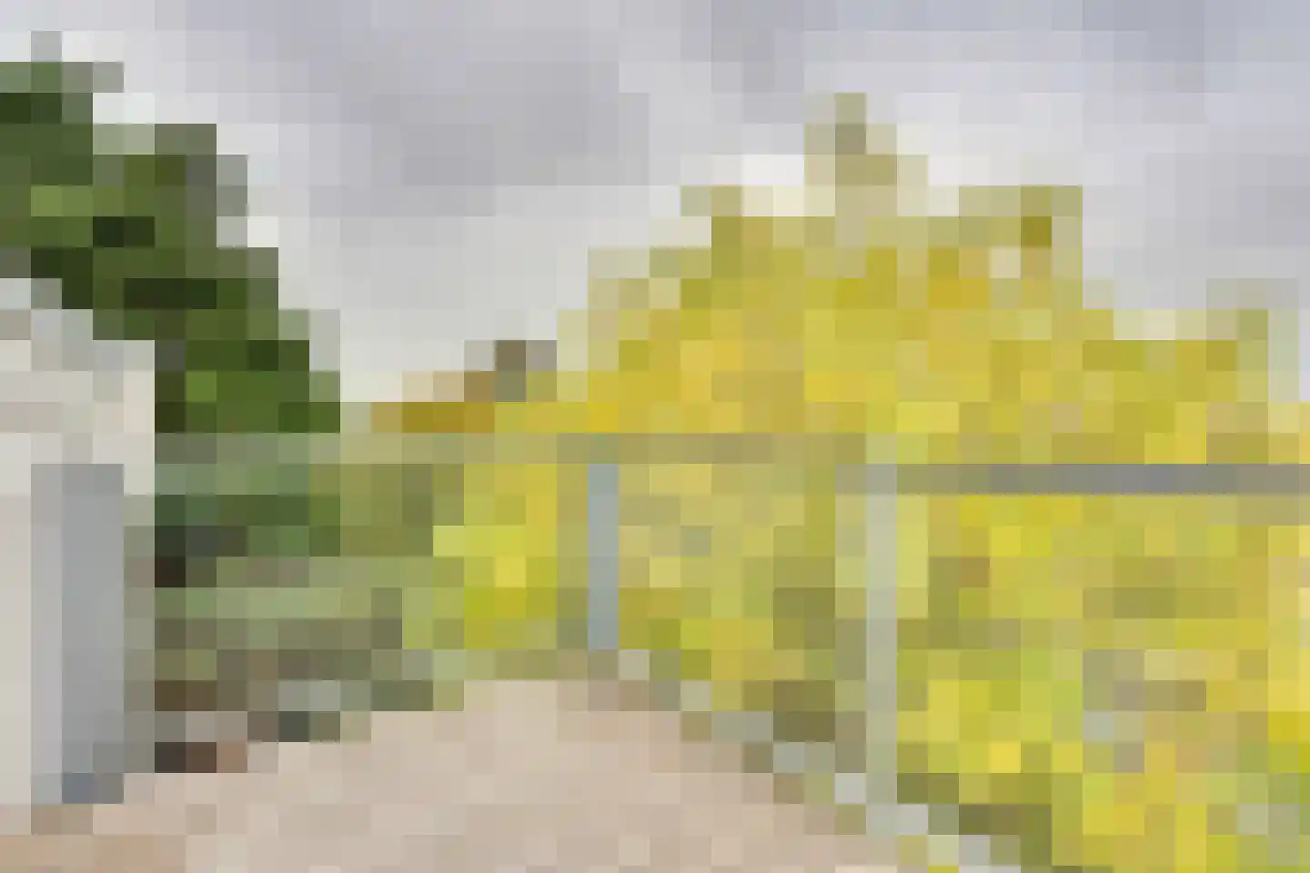 Huizersdijk 28 d Zevenbergen thumbnail 25