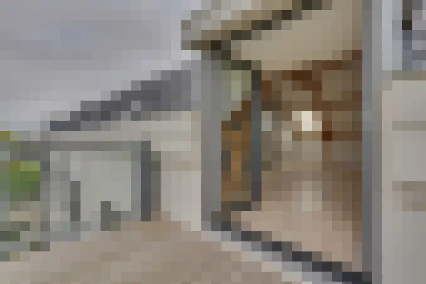 Huizersdijk 28 d Zevenbergen thumbnail 26