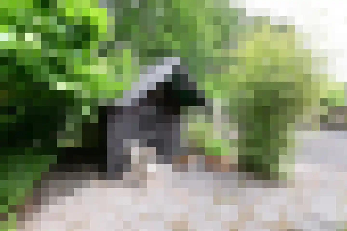 Huizerstraatweg 14 C Naarden thumbnail 21