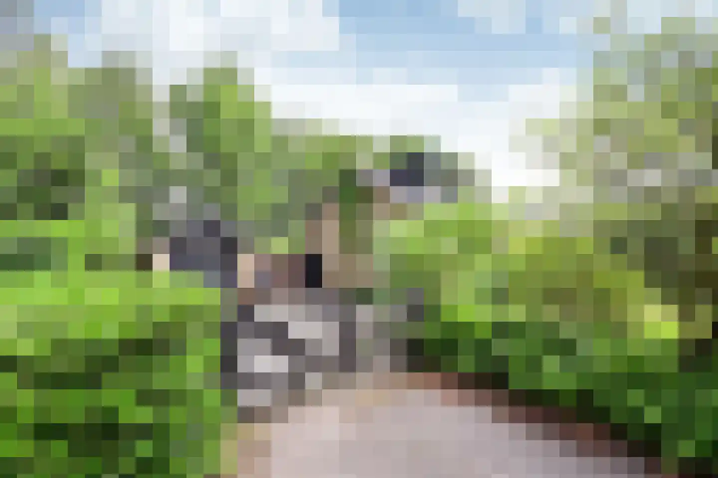 Huizerstraatweg 14 C Naarden thumbnail 6