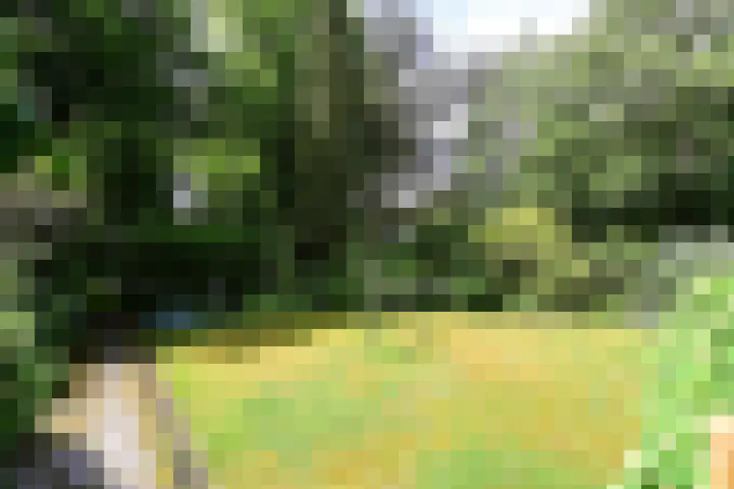 Huizerstraatweg 14 C Naarden thumbnail 9