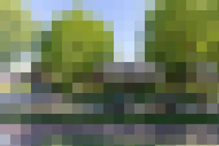 Huizerweg 110 Bussum thumbnail 36