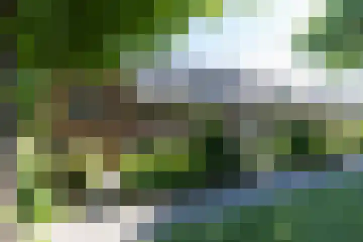 Huizerweg 110 Bussum thumbnail 4
