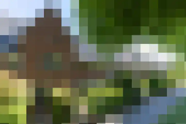 Huizerweg 110 Bussum thumbnail 43