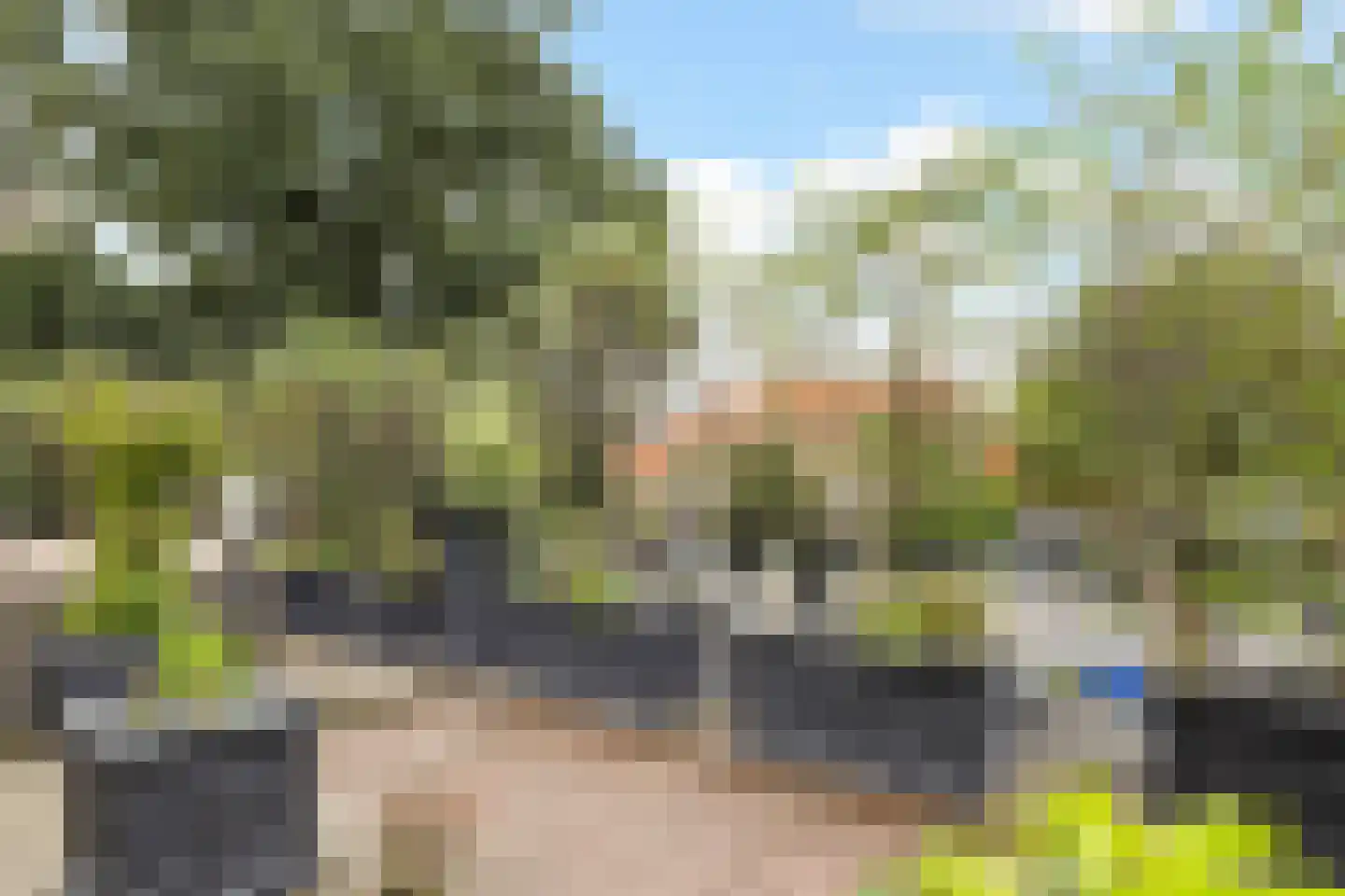 Huizerweg 12 Bussum thumbnail 5