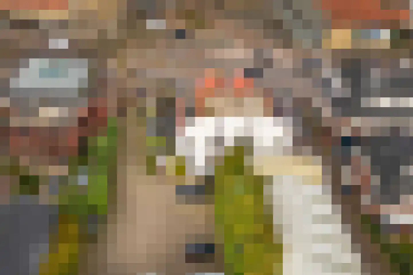 Huizerweg 12 Bussum thumbnail 54