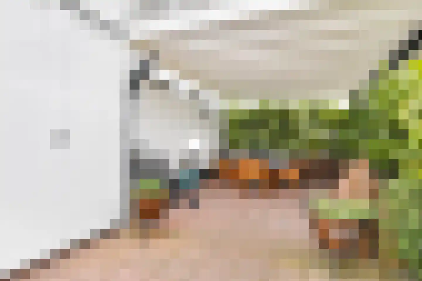 Huizerweg 12 Bussum thumbnail 7