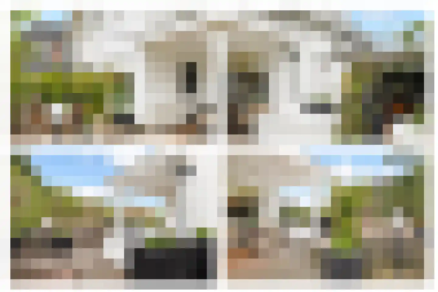 Huizerweg 12 Bussum thumbnail 8