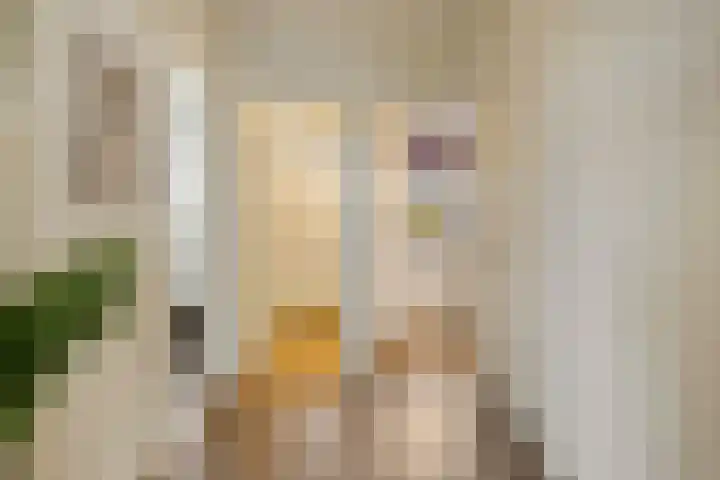 Huizerweg 19 L Bussum thumbnail 14