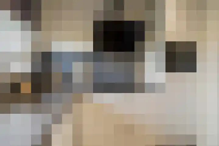 Huizerweg 19 L Bussum thumbnail 16