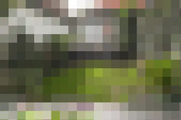 Huizerweg 192 Bussum thumbnail 27