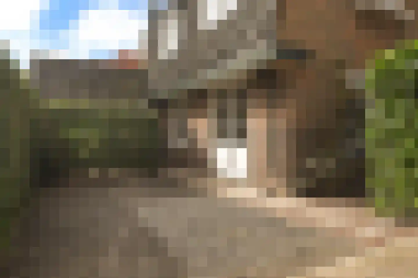 Huizerweg 192 Bussum thumbnail 29