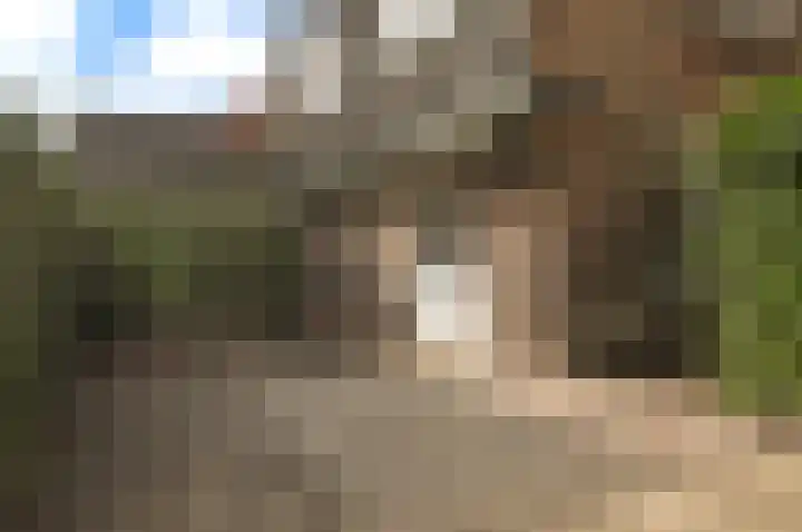 Huizerweg 192 Bussum thumbnail 29