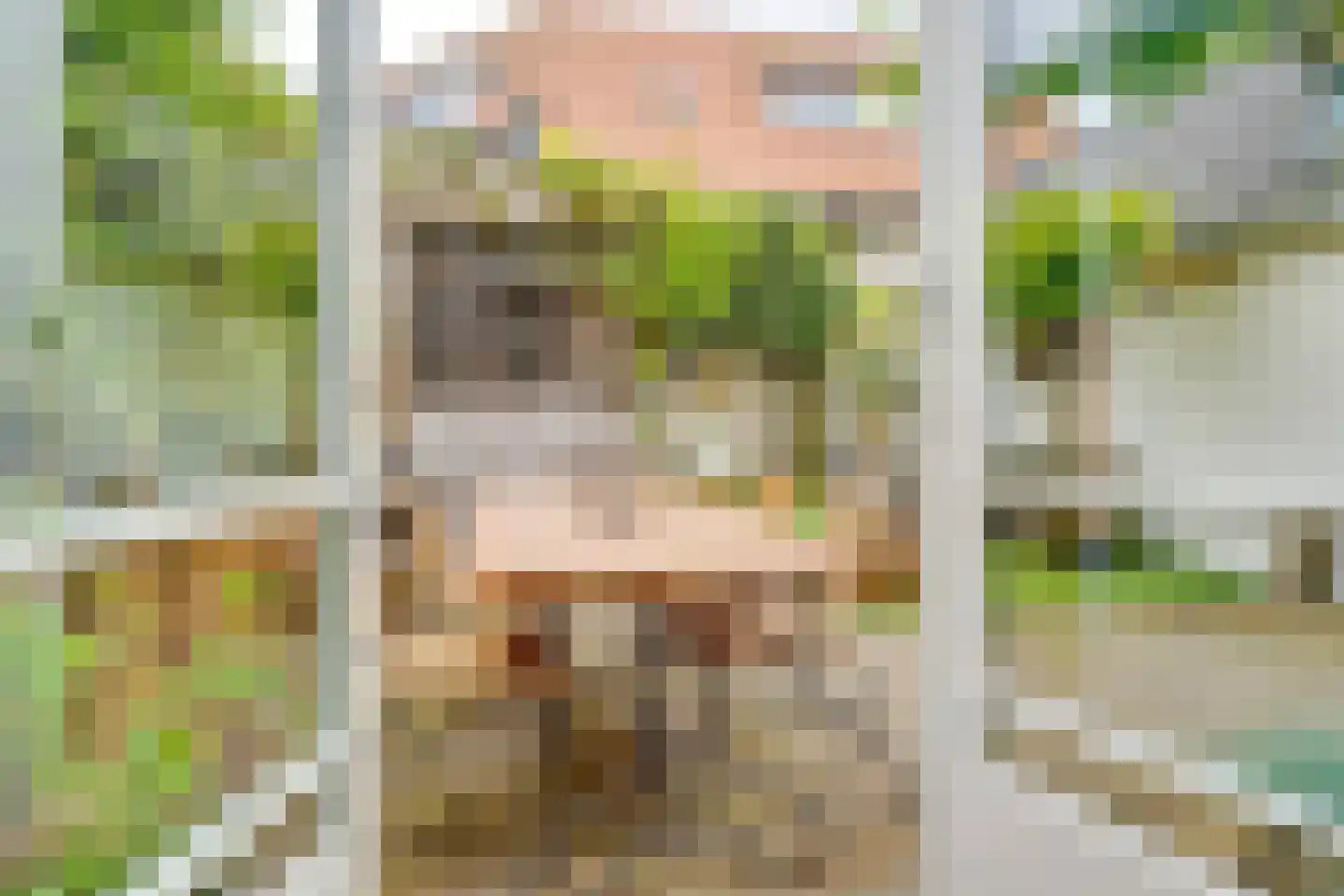 Huizerweg 206 Bussum thumbnail 15