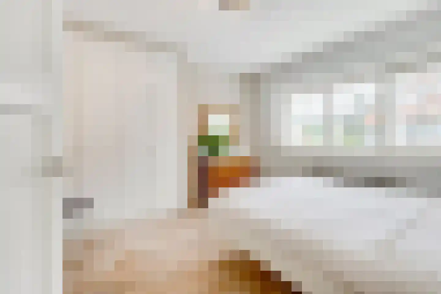 Huizerweg 206 Bussum thumbnail 26