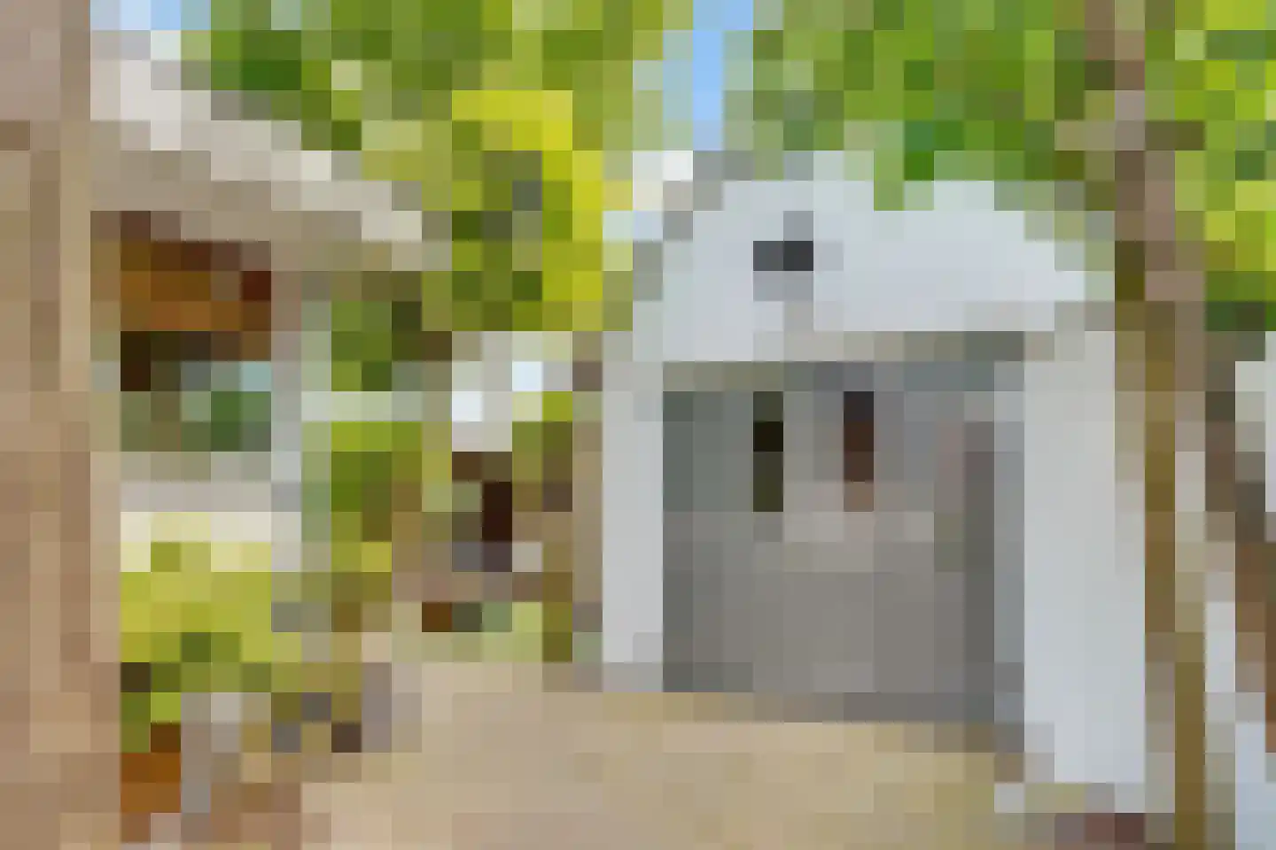 Huizerweg 206 Bussum thumbnail 50