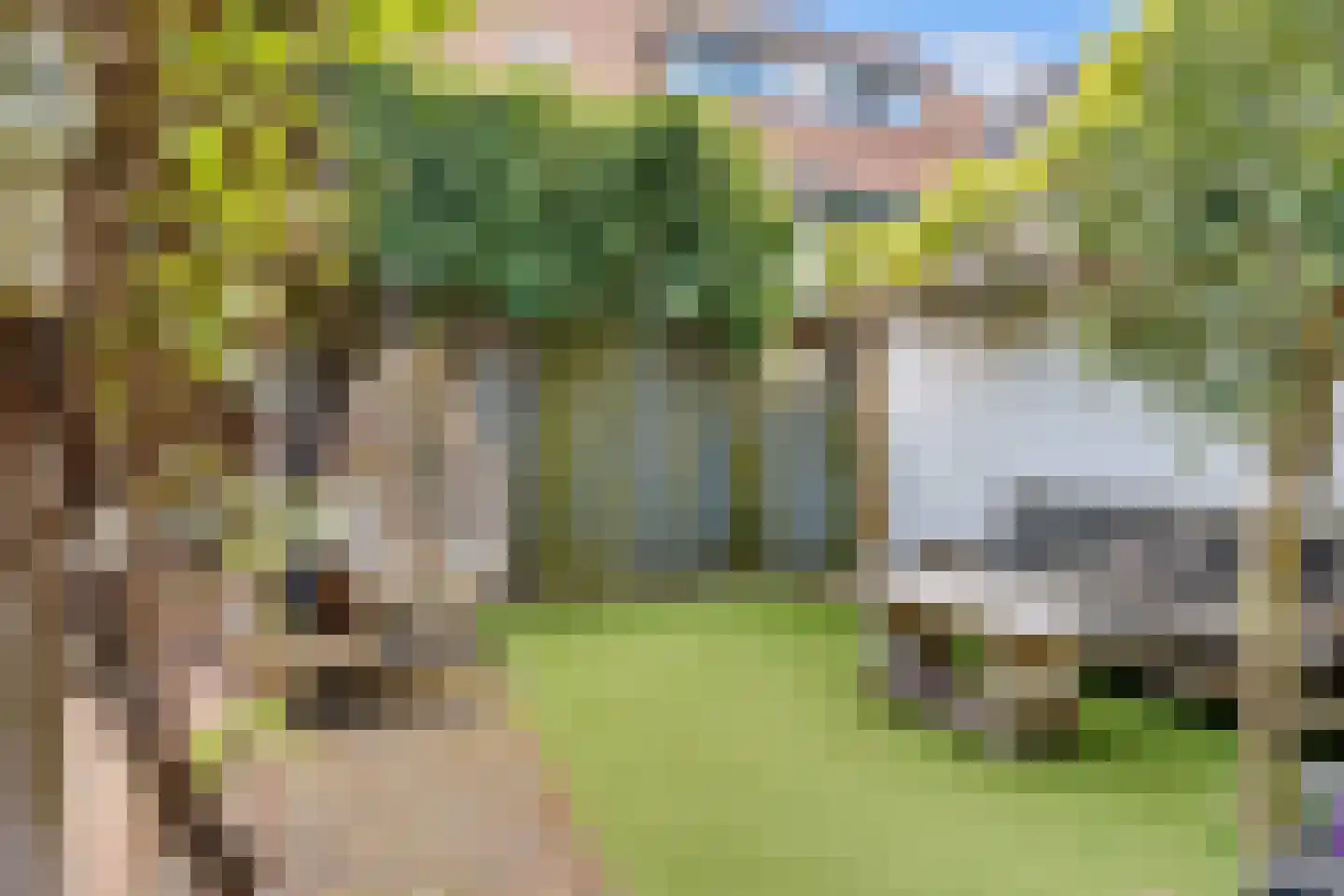 Huizerweg 206 Bussum thumbnail 54