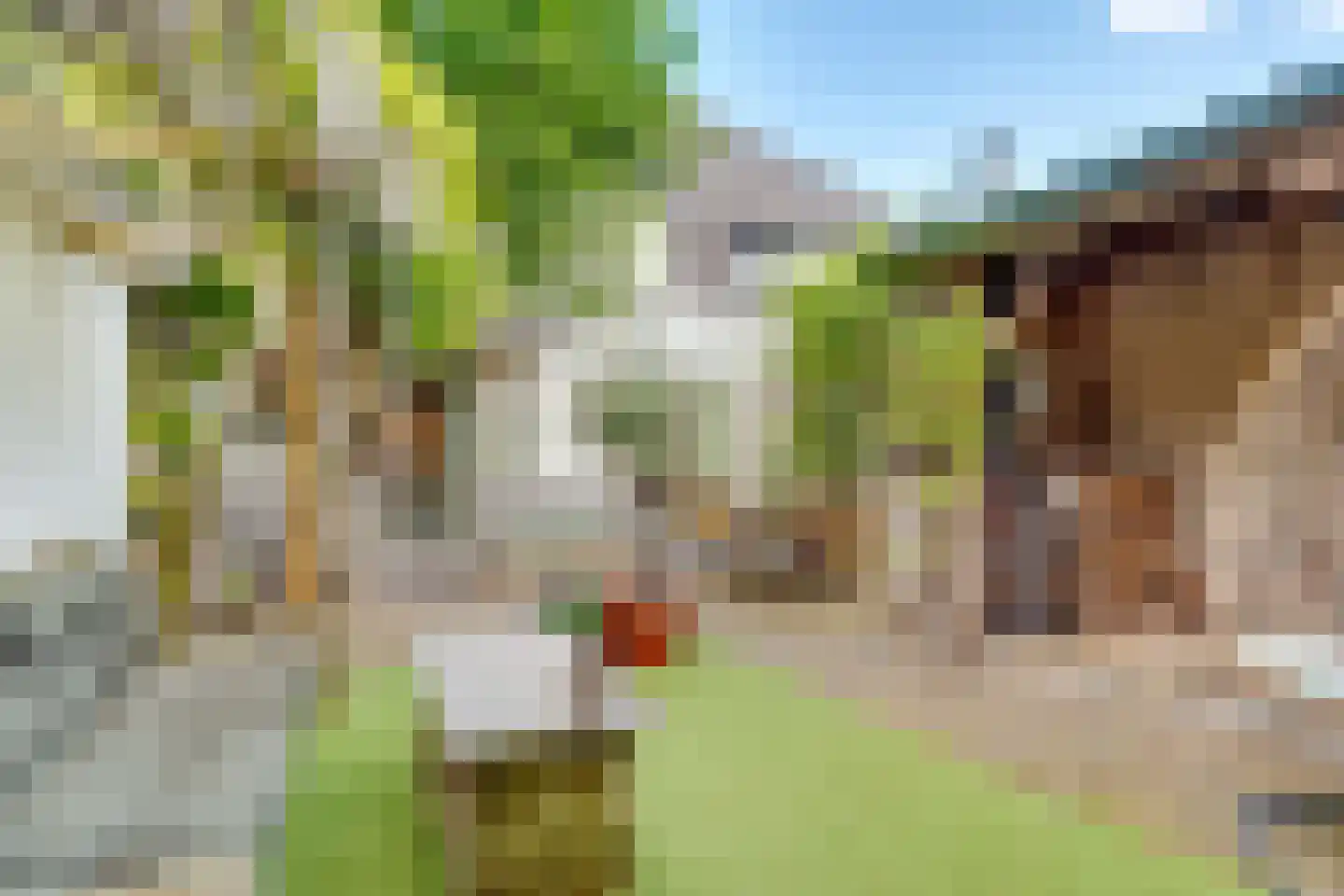 Huizerweg 206 Bussum thumbnail 55