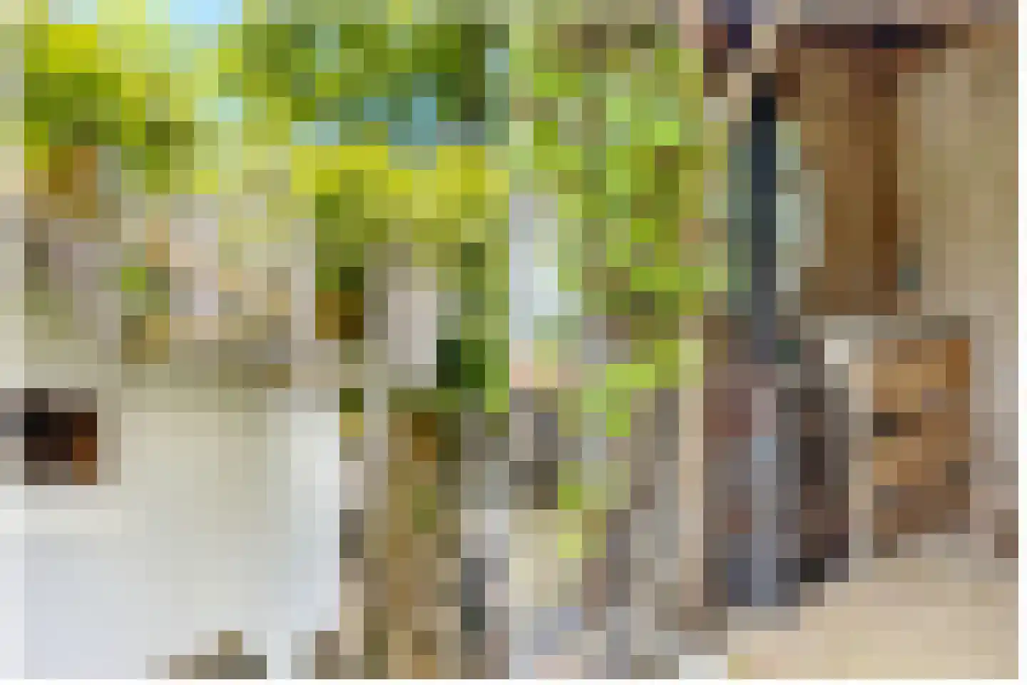 Huizerweg 206 Bussum thumbnail 57