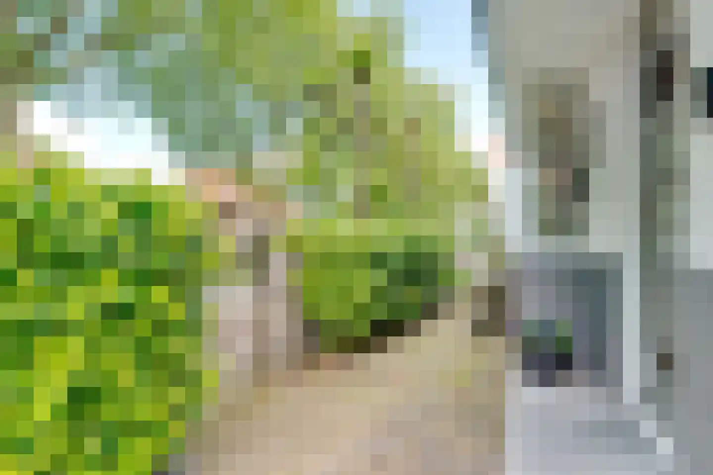 Huizerweg 206 Bussum thumbnail 58