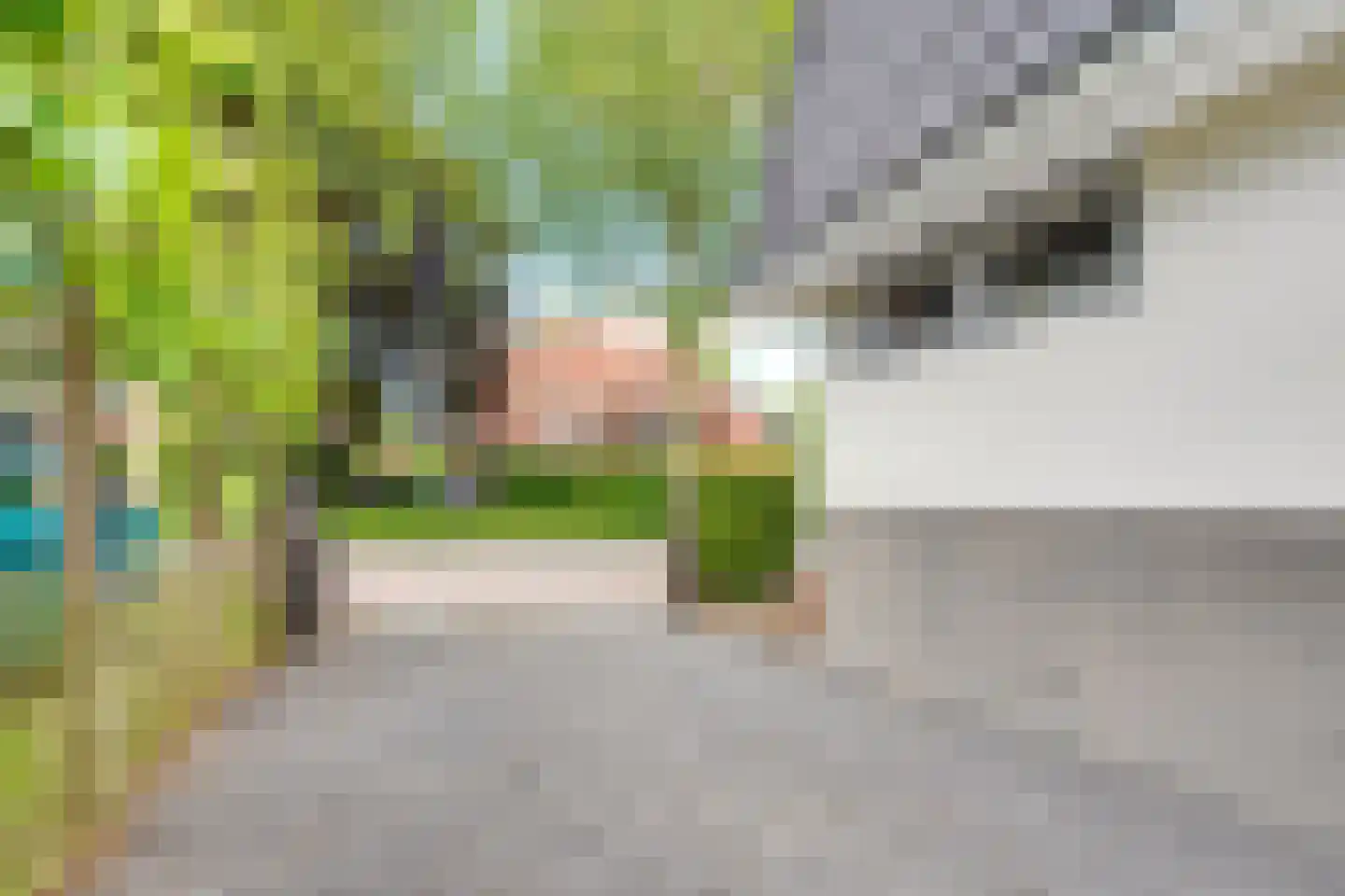 Huizerweg 206 Bussum thumbnail 61
