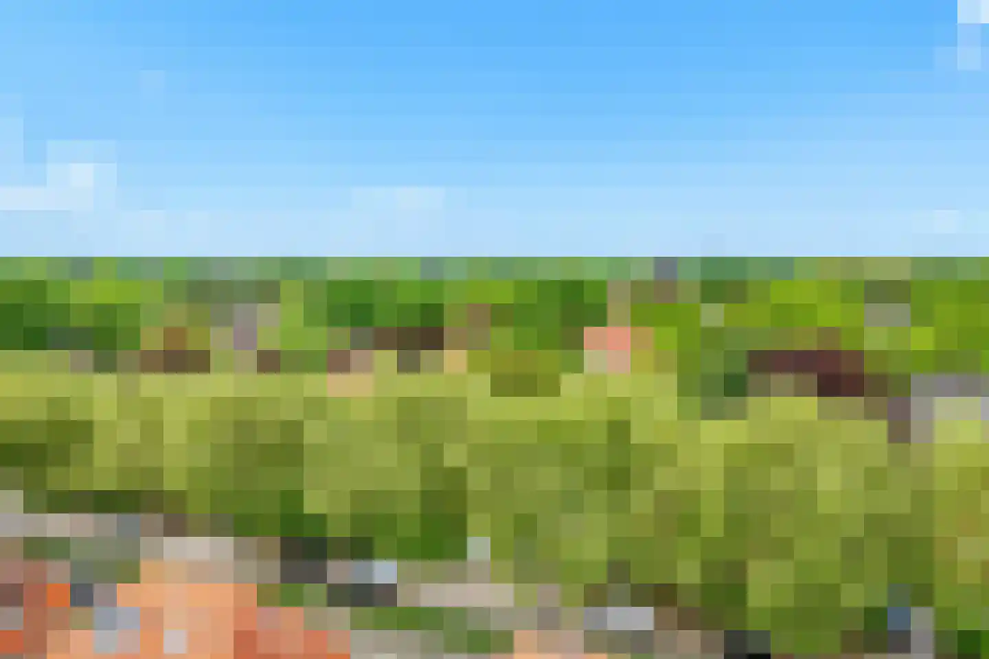 Huizerweg 206 Bussum thumbnail 65